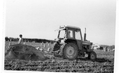 Potato digger Okenbury Farm